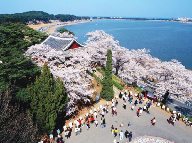 100일 뒤.jpg | 인스티즈