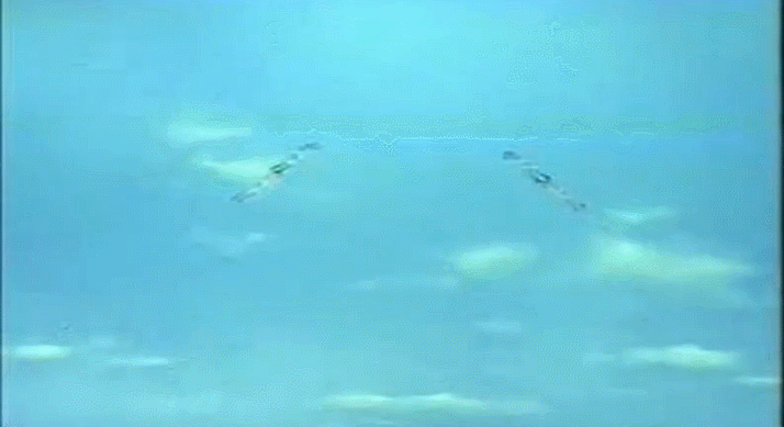 역대 모든 울트라맨 변신장면 .GIF | 인스티즈