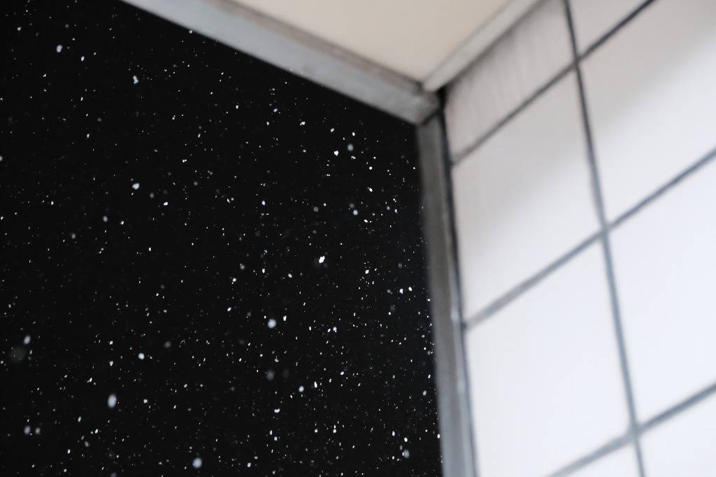 눈오는 오늘, 홀린듯이 카메라 들고 나가서 찍은 스냅사진 | 인스티즈