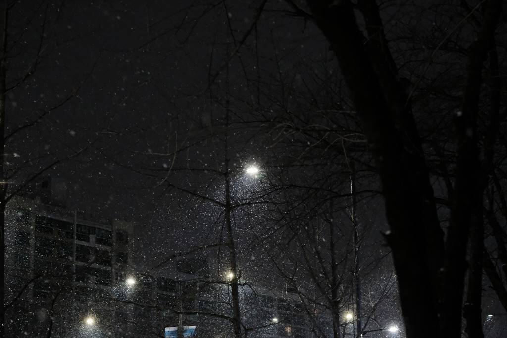 눈오는 오늘, 홀린듯이 카메라 들고 나가서 찍은 스냅사진 | 인스티즈