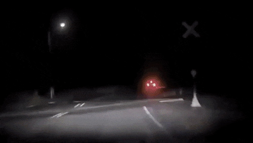 운전자를 공격한 사슴.gif | 인스티즈