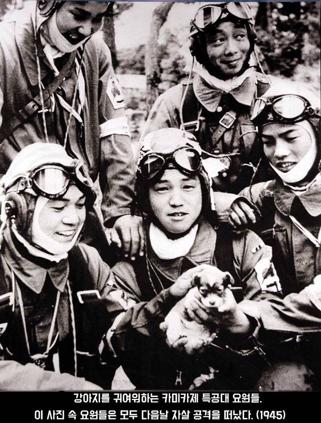 사진에 담긴 역사적 순간 | 인스티즈