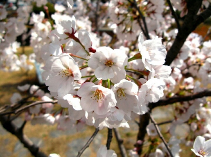 100일 뒤.jpg | 인스티즈