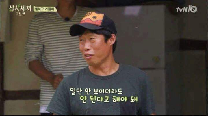 강아지가 안 보일때 꿀팁 | 인스티즈