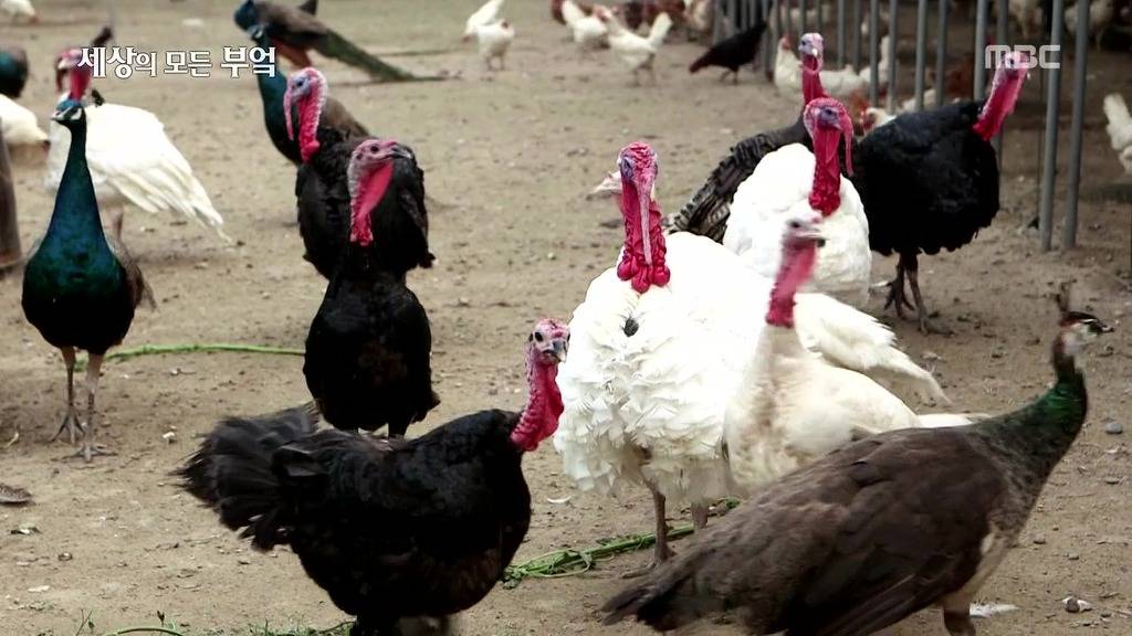 흔한 중국부자의 밥먹는 스케일.jpg | 인스티즈