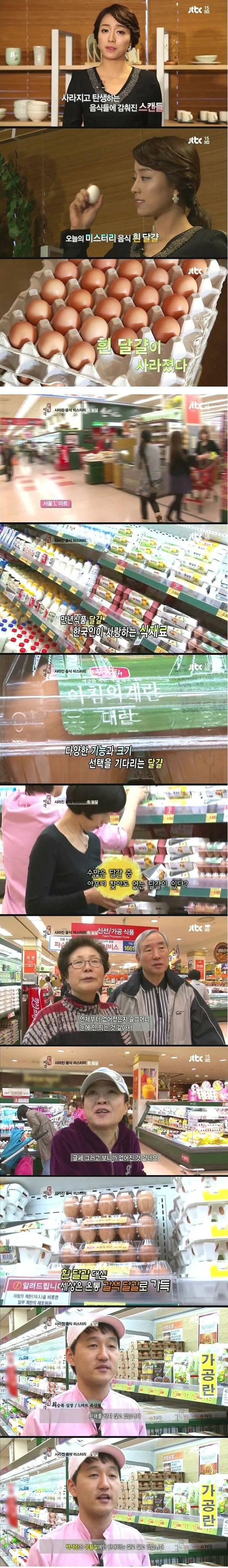 흰 달걀이 사라지는 이유 | 인스티즈