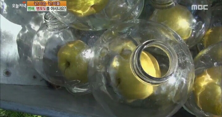 신기한 병배.jpg | 인스티즈