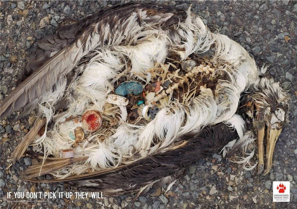 무서운 분위기가 나는 공익광고들 | 인스티즈