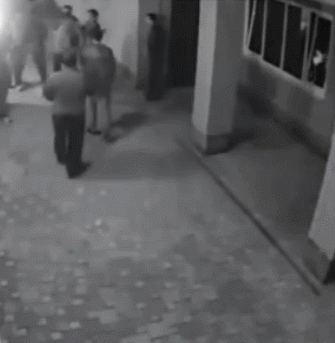 복싱하는사람 건들면 안되는 이유.gif | 인스티즈