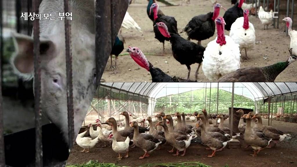 흔한 중국부자의 밥먹는 스케일.jpg | 인스티즈