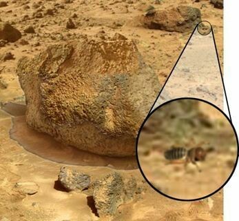 여러가지 화성이미지 | 인스티즈