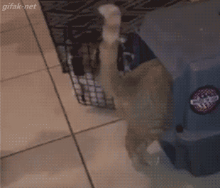 빨리 들어가! | 인스티즈