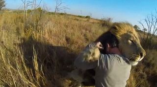 능력이 주어진다면? [망상주의] | 인스티즈