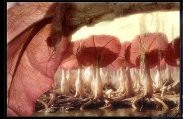 우주 공포증 배경음 | 인스티즈