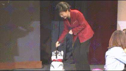 503 레전드 모음.gif | 인스티즈