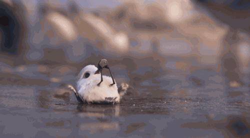 픽사 신작. gif | 인스티즈