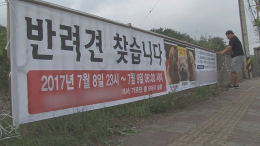 개먹는건 자윤데 남의 개 훔쳐가지 말라고 나쁜 (와이) | 인스티즈