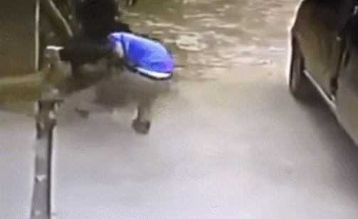 중국에서 잡힌 개도둑 | 인스티즈