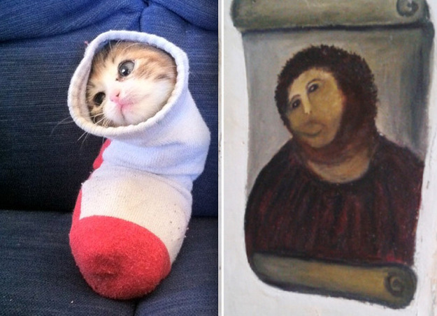 아니?! 세상에 동물말멀이 생겼다니?!! | 인스티즈