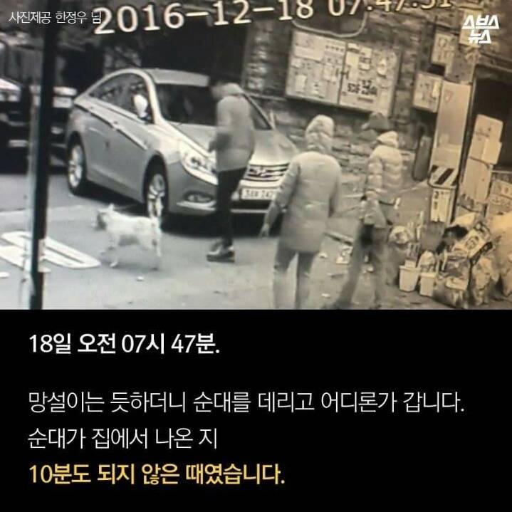 개먹는건 자윤데 남의 개 훔쳐가지 말라고 나쁜 (와이) | 인스티즈