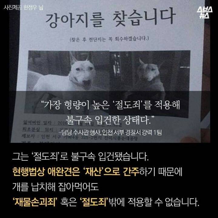 개먹는건 자윤데 남의 개 훔쳐가지 말라고 나쁜 (와이) | 인스티즈