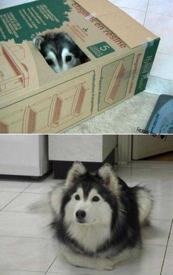 유전만큼 환경이 중요한 이유 | 인스티즈