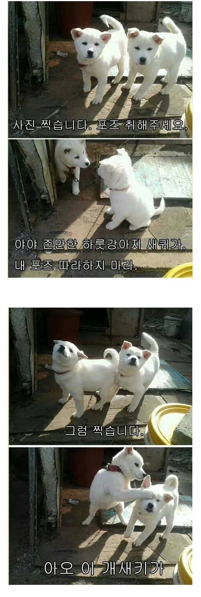사진 찍습니다 포즈 취해주세요 | 인스티즈