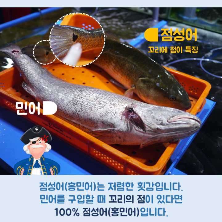 생선회 구별법.JPG | 인스티즈