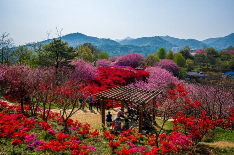 관광객보다 전주 시민들이 더 많이 가는 곳.jpg | 인스티즈