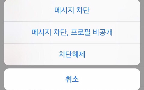 차단시 카톡 프로필 비공개 기능 아이폰에도 생김 인스티즈 Instiz 인티포털