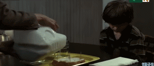 아빠가 큰 고양이를 입양해왔는데.. 개무섭고 개시름;.gif | 인스티즈