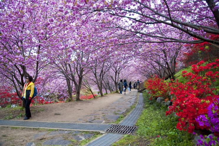 관광객보다 전주 시민들이 더 많이 가는 곳.jpg | 인스티즈