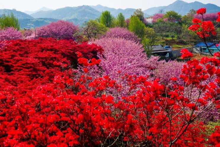 관광객보다 전주 시민들이 더 많이 가는 곳.jpg | 인스티즈