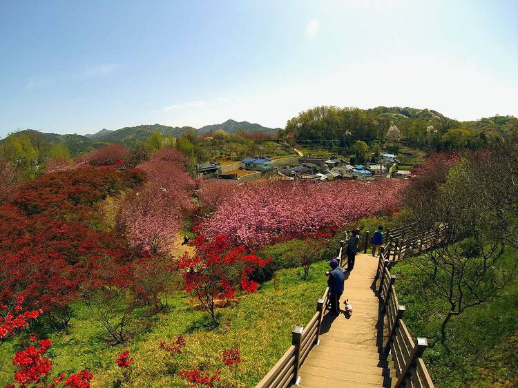 관광객보다 전주 시민들이 더 많이 가는 곳.jpg | 인스티즈
