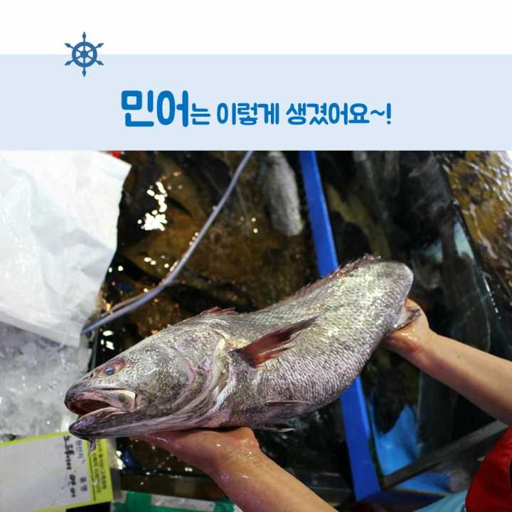 생선회 구별법.JPG | 인스티즈