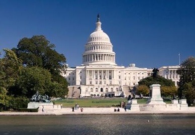 미국 대선 뭔데? 간접 선거? 그거 어떻게 하는건데? | 인스티즈