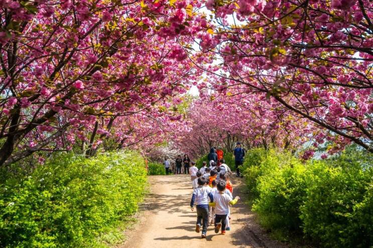 관광객보다 전주 시민들이 더 많이 가는 곳.jpg | 인스티즈