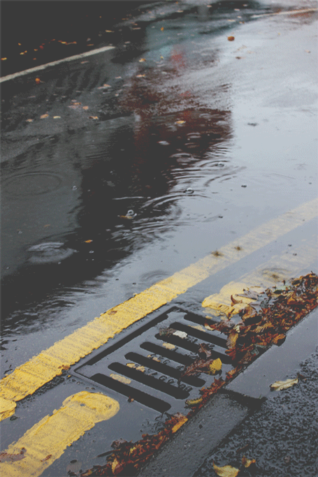 호불호 날씨 | 인스티즈