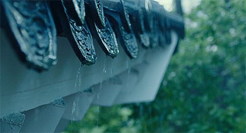 호불호 날씨 | 인스티즈