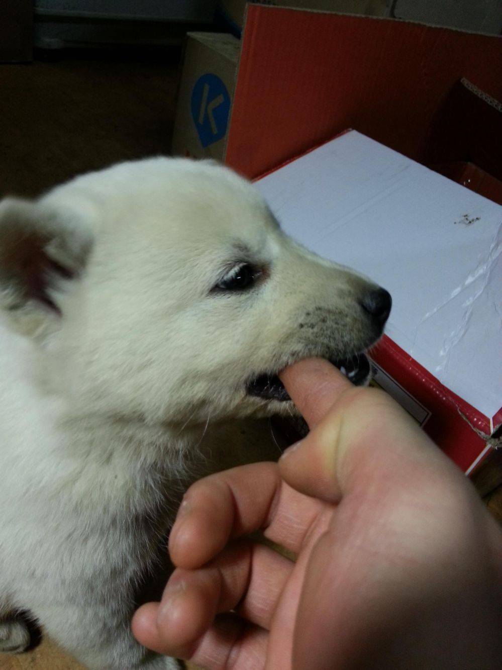 할아버지 할머니 눈에 보이는 손자 손녀 | 인스티즈