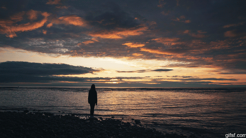 묘하게 중독되는 움짤들 | 인스티즈