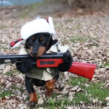 적군의 심장을 멎게하는 무기.gif | 인스티즈