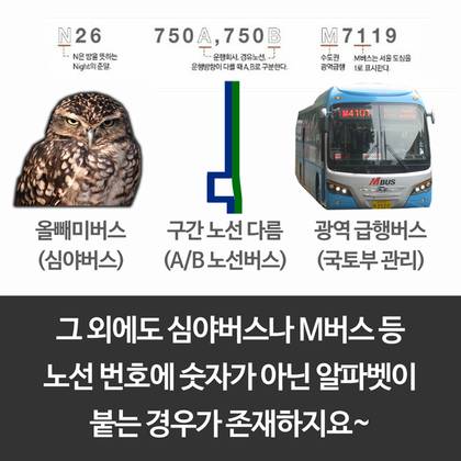 서울 버스번호의 비밀.jpg | 인스티즈
