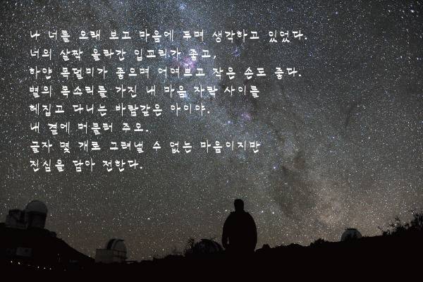 우유들이 사랑해 대신 전해줄 수 있는 그 한마디 | 인스티즈