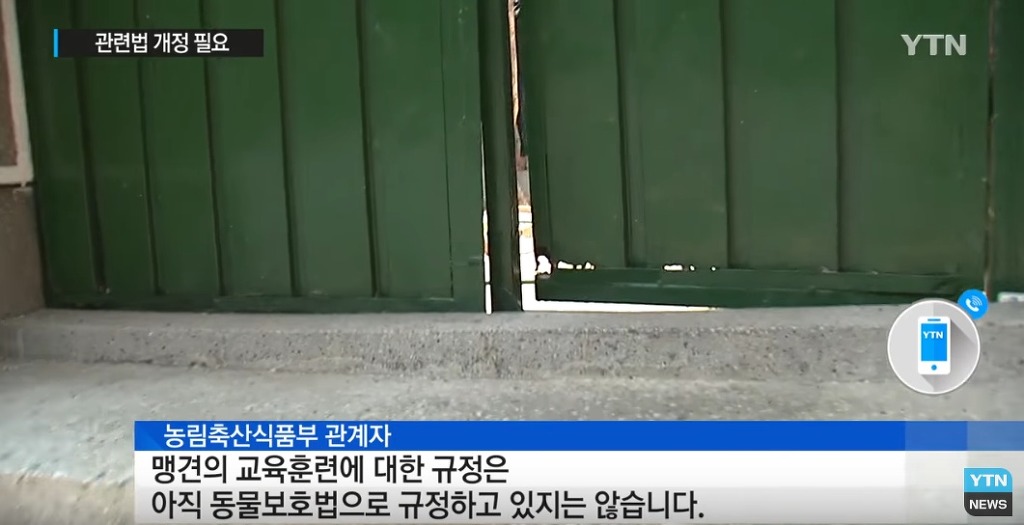 퓨마도 잡는다는 개가 거리 활보?...법 개정 필요 | 인스티즈