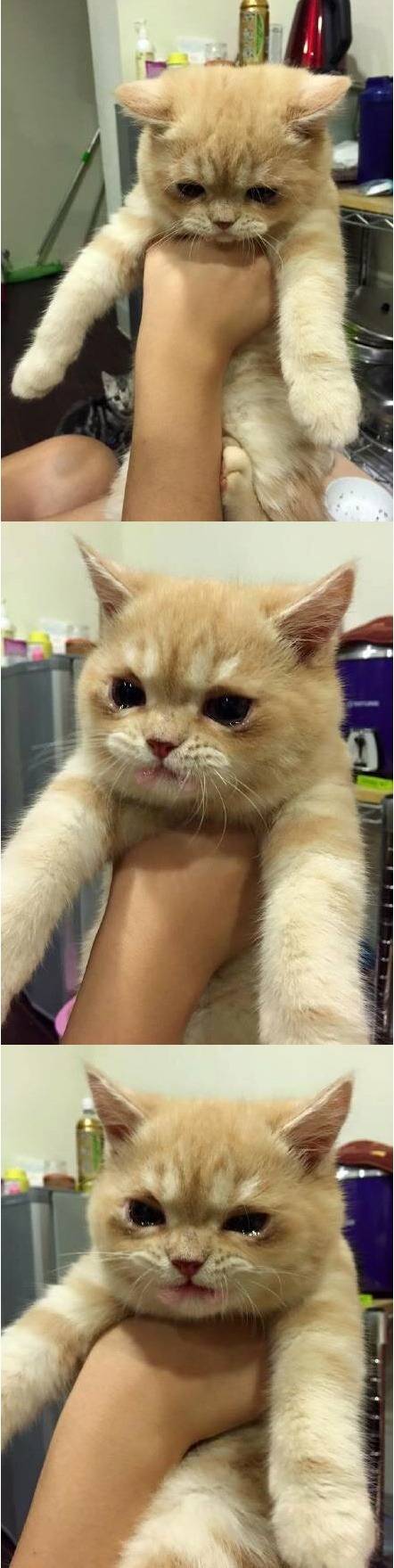 내가 한거 아닌데 억울해 ㅜ.ㅠ | 인스티즈