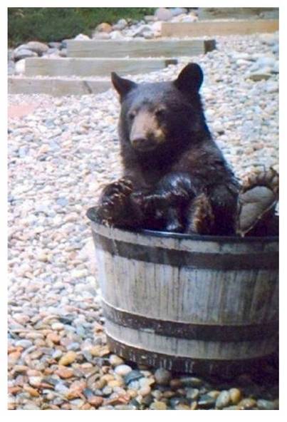 물 도둑의 정체 | 인스티즈