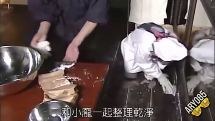 요리하는 침팬치 | 인스티즈