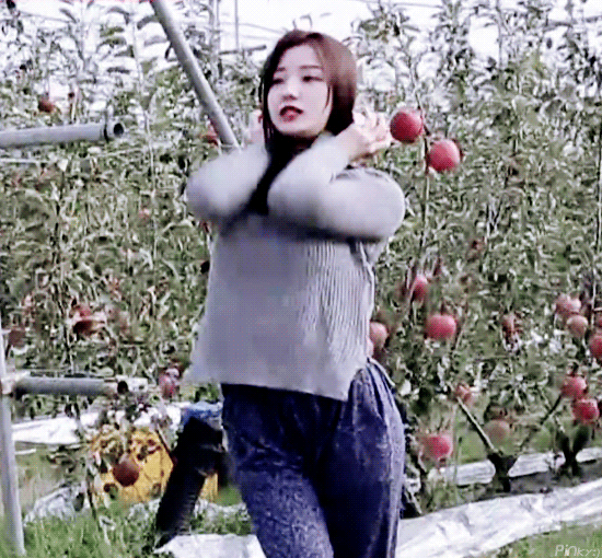 아이돌 리얼리티치고 시청자들한테 재밌다고 호평 받는 프로그램 | 인스티즈