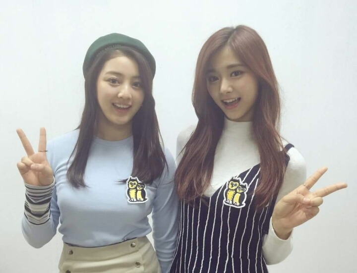 지효 쯔위 만나러 타이완 가는중 | 인스티즈